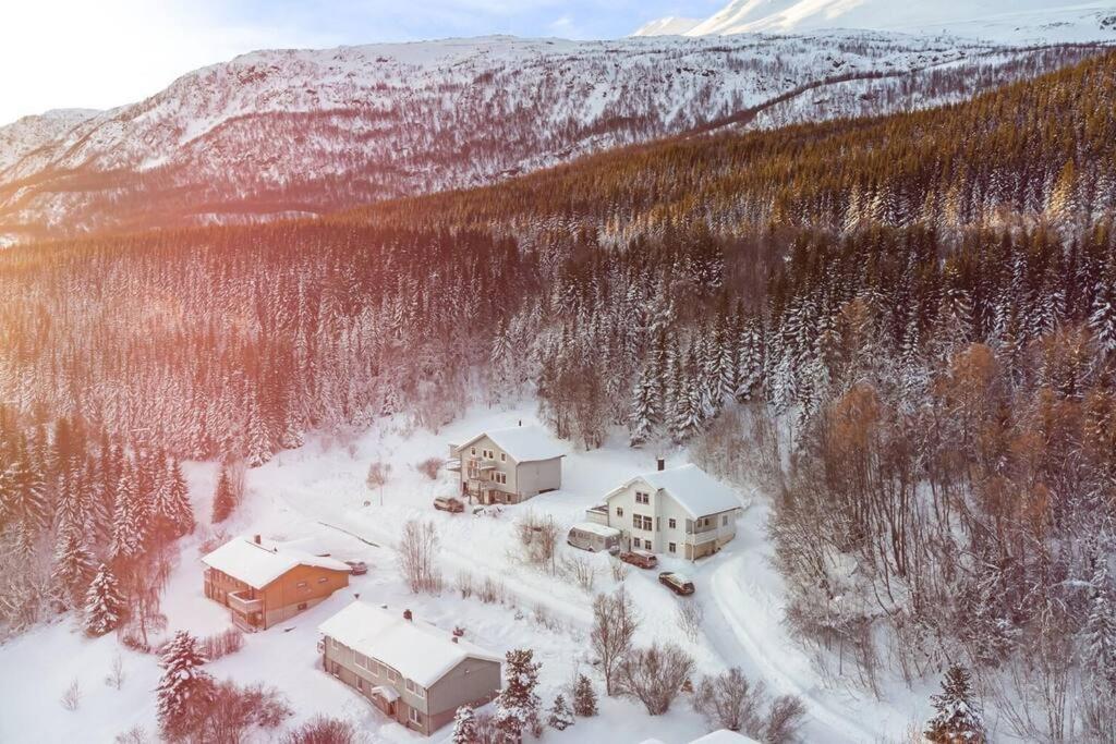 Ferienwohnung Main Floor In The Lyngen Alps, Whole House Rentable Lyngseidet Exterior foto
