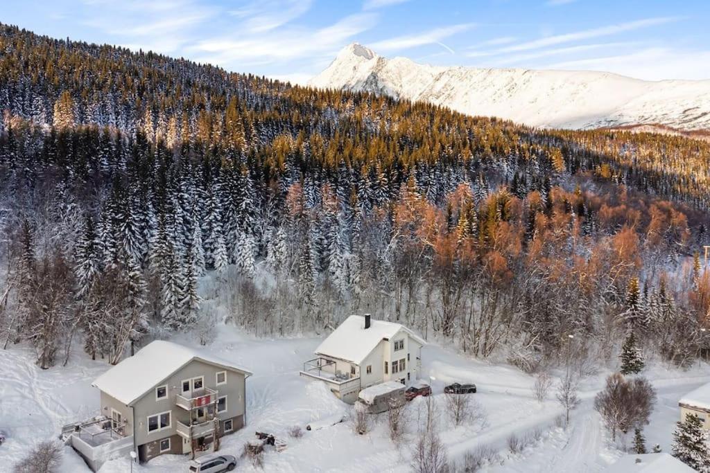 Ferienwohnung Main Floor In The Lyngen Alps, Whole House Rentable Lyngseidet Exterior foto