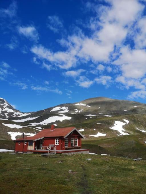 Ferienwohnung Main Floor In The Lyngen Alps, Whole House Rentable Lyngseidet Exterior foto